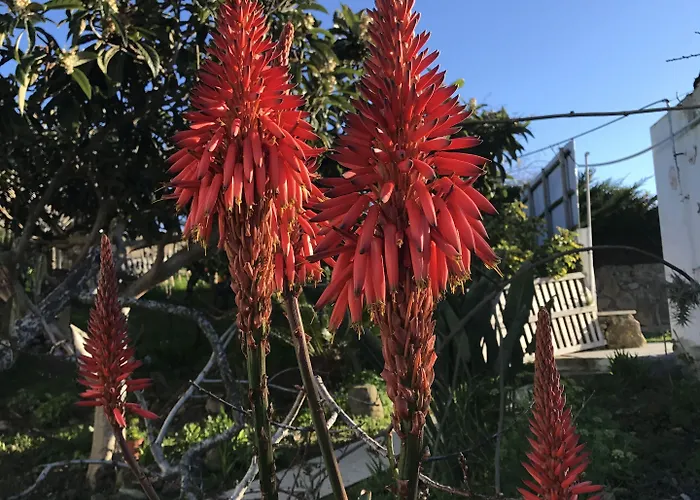 波尔图蒙特酒店 住宿加早餐酒店 3*