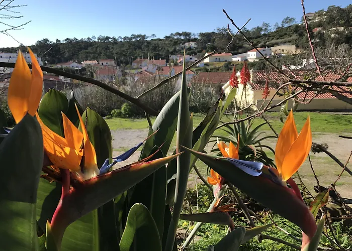 波尔图蒙特酒店 住宿加早餐酒店 3*