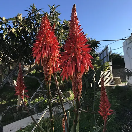 Porto Monte Bed & Breakfast 3*