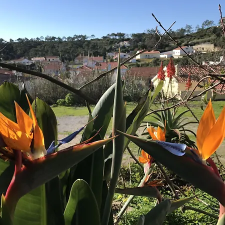 Porto Monte Bed & Breakfast 3*