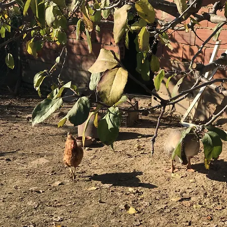 Porto Monte Bed & Breakfast 3*